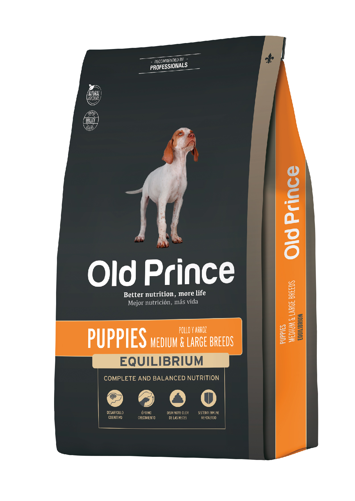 Old Prince Equilibrium Puppies